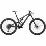 2022 Specialized Stumpjumper EVO Expert Mountain Bike