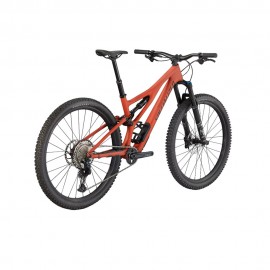 2023 Specialized S-Works Stumpjumper Comp Mountain Bike