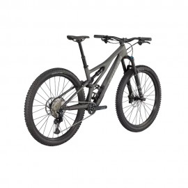 2023 Specialized S-Works Stumpjumper Comp Mountain Bike