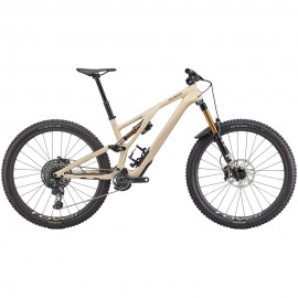 2023 Specialized Stumpjumper EVO Pro Mountain Bike